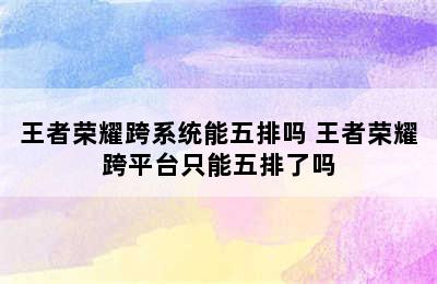 王者荣耀跨系统能五排吗 王者荣耀跨平台只能五排了吗